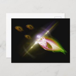 Jägeressen X-Ray Fisch 4 Postkarte