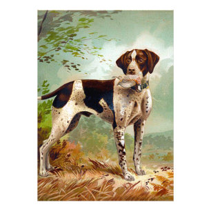 Jägerhund mit Vogel im Mund Fotodruck