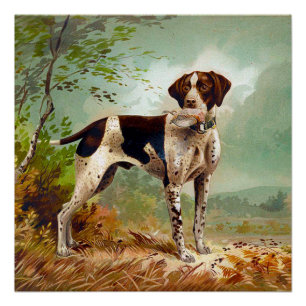 Jägerhund mit Vogel im Mund Poster