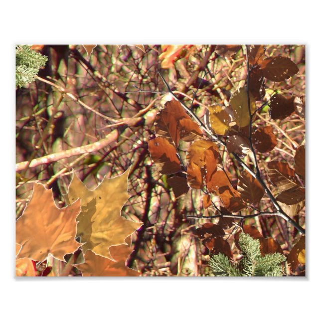 Jägers Camouflage Camouflage Malerei Anpassen Sie  Fotodruck (Vorne)
