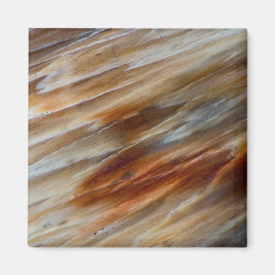 Jagged Petrified Wood Magnet