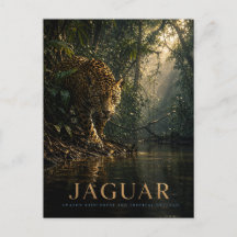 Jaguar Amazonas-Regenwald TIERE