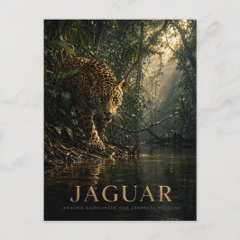 Jaguar Amazonas-Regenwald TIERE Postkarte