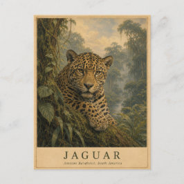 Jaguar Amazonas-Regenwald VINTAGE Postkarte