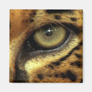JAGUAR Big Cat Wildlife Magnet