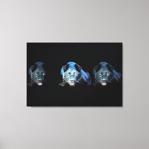 Jaguar - Black Panther Cat Wrapped Canvas Leinwanddruck