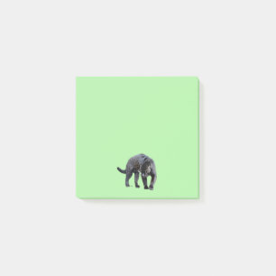 Jaguar Diablo Green 3x3-Notizblöcke Post-it Klebezettel