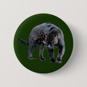 Jaguar Diablo grüne Taste Button