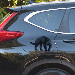 Jaguar Diablo Kontur Aufkleber