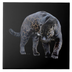 Jaguar Diablo noir grand carreaux céramique