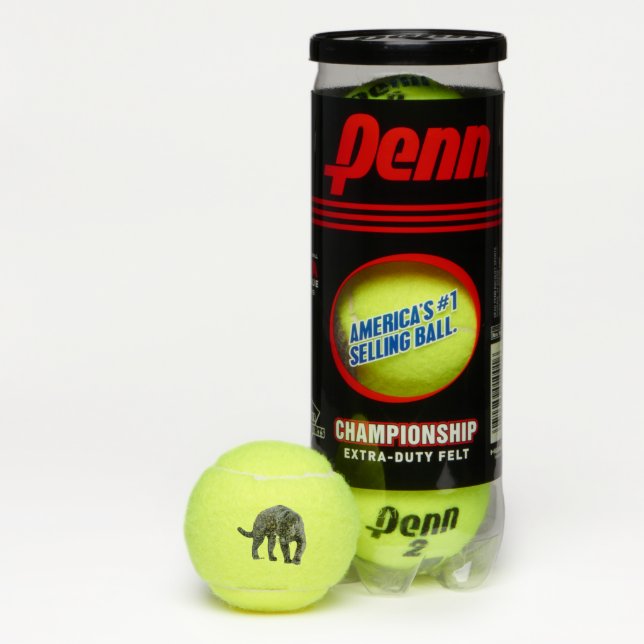Jaguar Diablo Penn balles de tennis (Boîte)