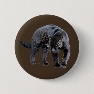 Jaguar Diablo-Schaltfläche Button