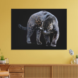 Jaguar Diablo, schwarze Leinwand
