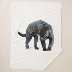 Jaguar Diablo sherpa couverture