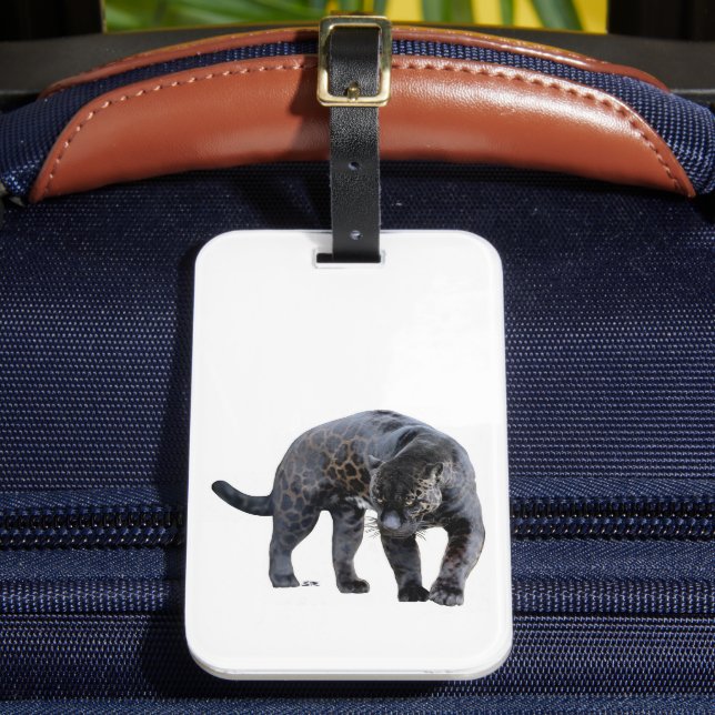 Jaguar Diablo, weißes Gepäck Gepäckanhänger (Vorderseite Insitu 2)