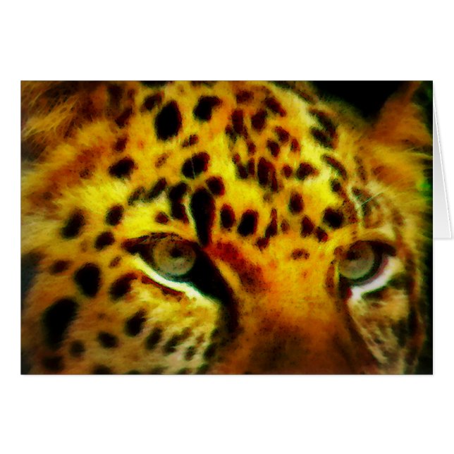 Jaguar Eyes (Vorderseite (Horizontal))