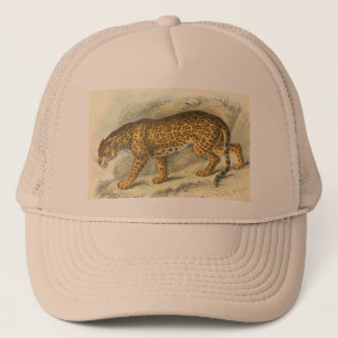 Jaguar, Felis onca Truckerkappe