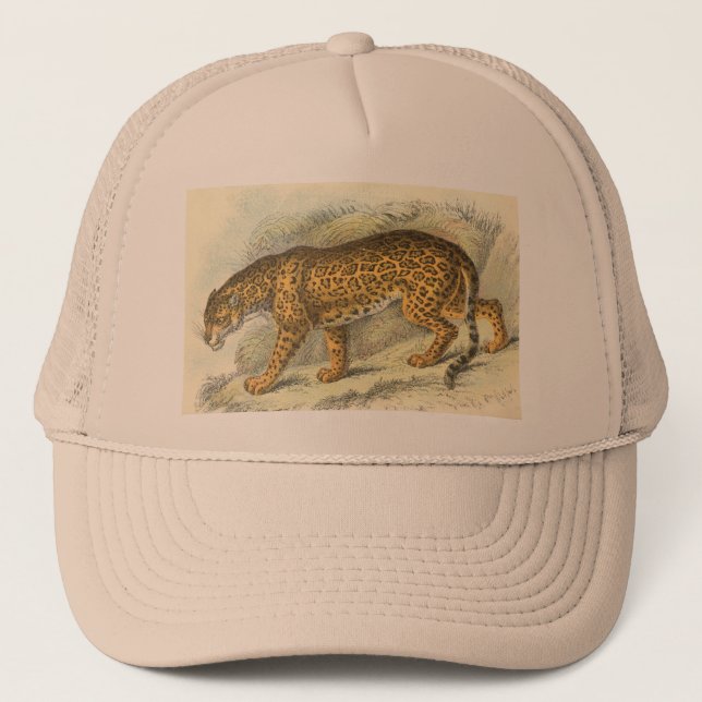 Jaguar, Felis onca Truckerkappe (Vorderseite)
