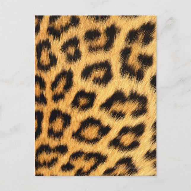 Jaguar Fur Postkarte (Vorderseite)