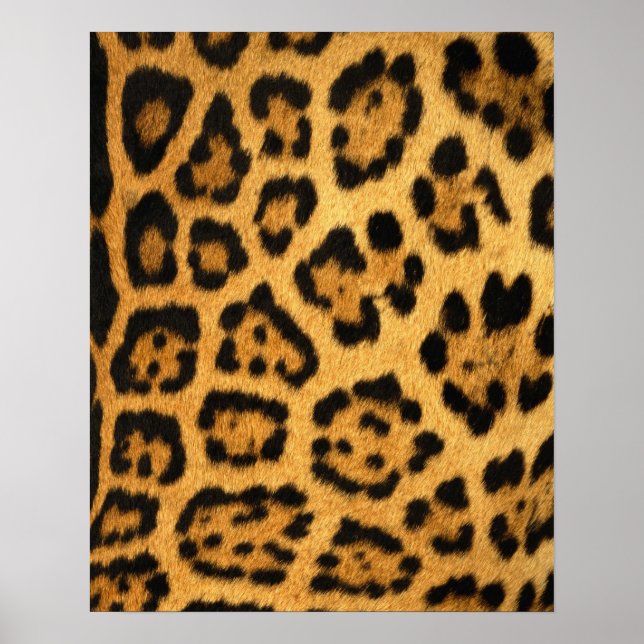 Jaguar Fur Print Poster (Vorne)