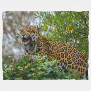 Jaguar Growl Fleecedecke
