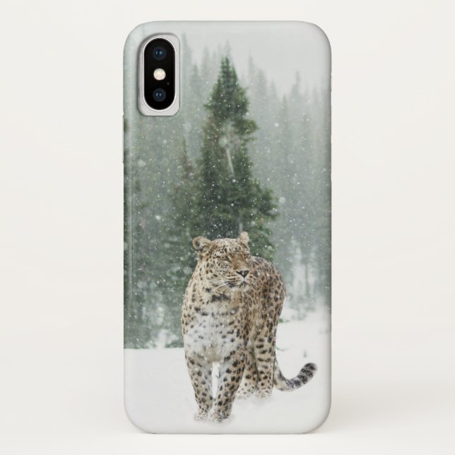 Jaguar im Schnee Case-Mate iPhone Hülle (Rückseite)
