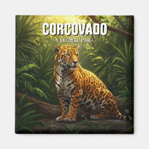 Jaguar in Corcovado Nationalpark Costa Rica