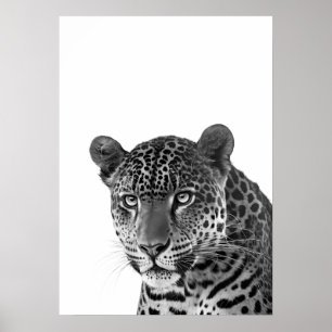 Jaguar Jungle Modern Portrait Schwarz-weiß Poster
