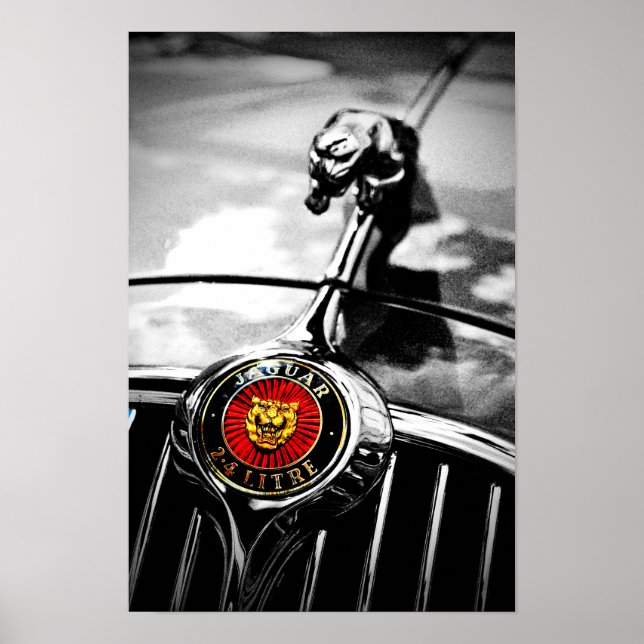 Jaguar Leaper Leaping Cat Poster (Vorne)