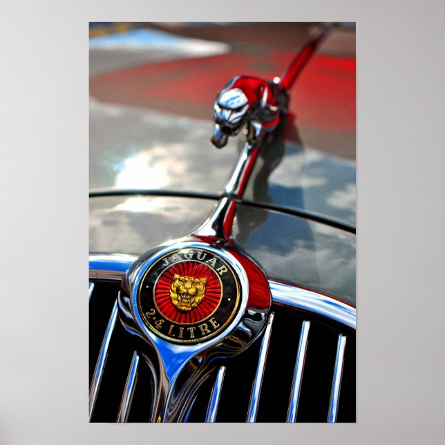 Jaguar Leaper Leaping Cat Poster (Vorne)