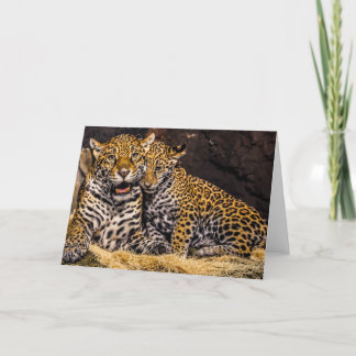 Jaguar Mama & Cub Grußkarte Karte