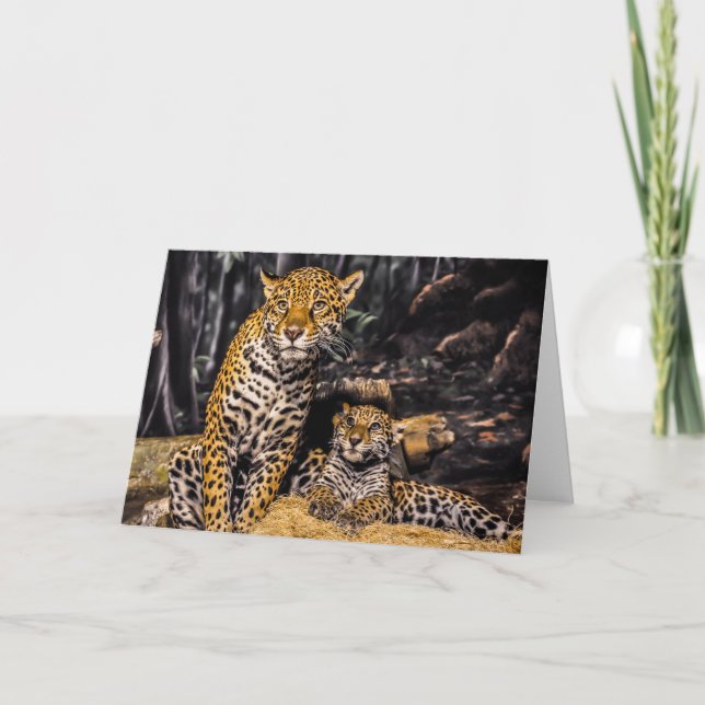 Jaguar Mama & Cub Grußkarte Karte (Vorderseite)