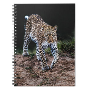 Jaguar Notizblock