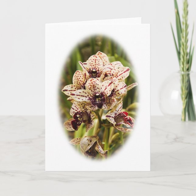 Jaguar Orchid Grußkarte Karte (Vorderseite)