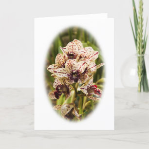 Jaguar Orchid Grußkarte Karte
