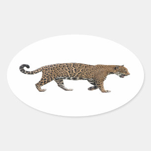 Jaguar Ovaler Aufkleber