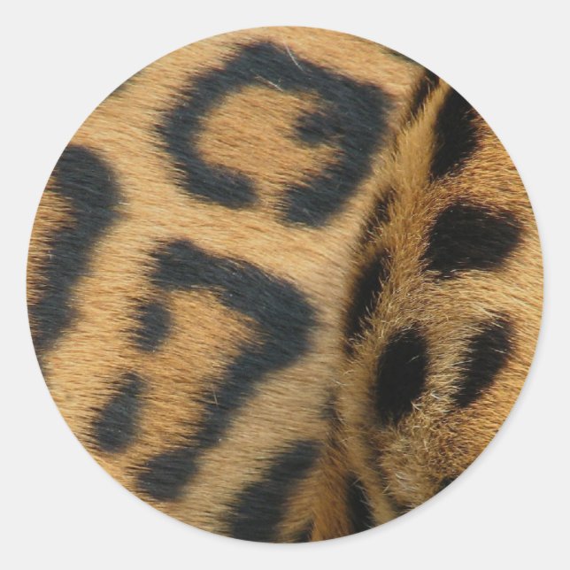 Jaguar Pattern Stickers (Vorderseite)