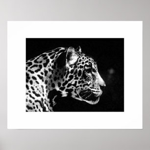 Jaguar Pop Art Poster Print - Jaguar Poster