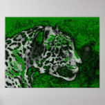 Jaguar Pop Art Poster Print - Jaguar Poster<br><div class="desc">Jaguar Portrait Posters - Pop Art Jaguar Image - Big Wild Cats Prints - The Head of the Jaguar - Face of Jaguar</div>