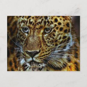 Jaguar Postkarte