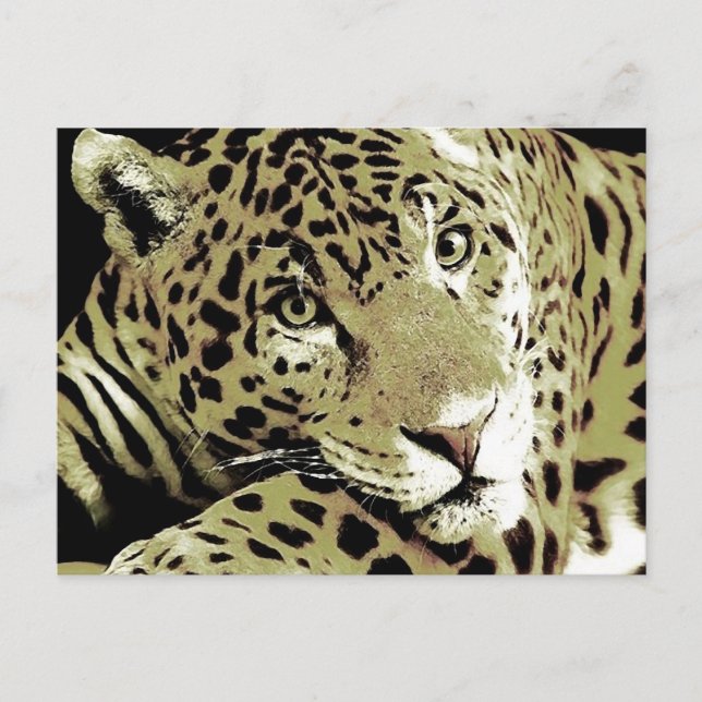 Jaguar Postkarte (Vorderseite)