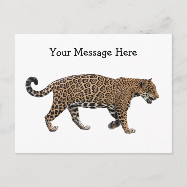 Jaguar Postkarte (Vorderseite)