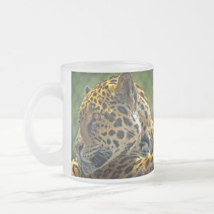 Jaguar-Profil Mattglastasse