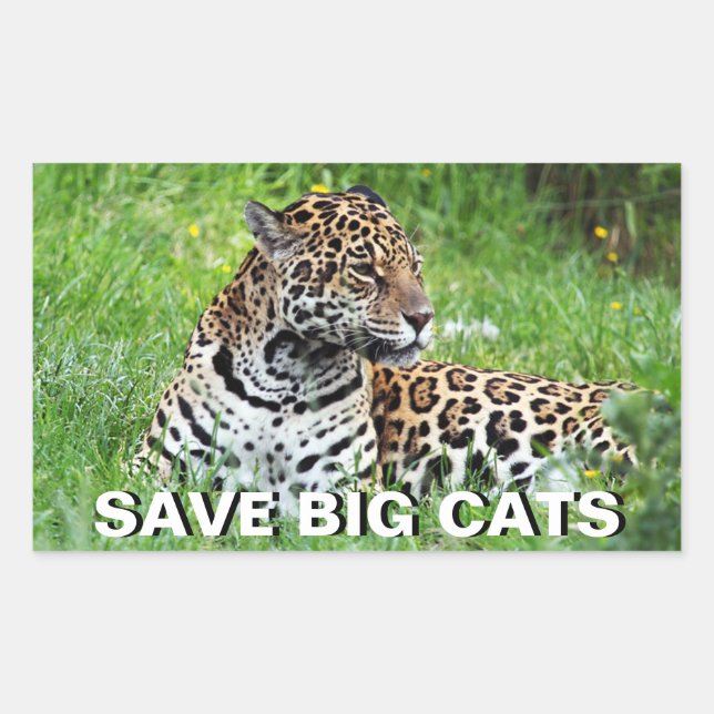 Jaguar Rechteckiger Aufkleber (Vorderseite)