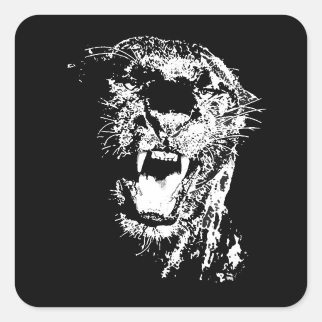 Jaguar Roaring Quadratischer Aufkleber (Vorderseite)