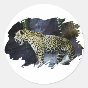 Jaguar Runder Aufkleber