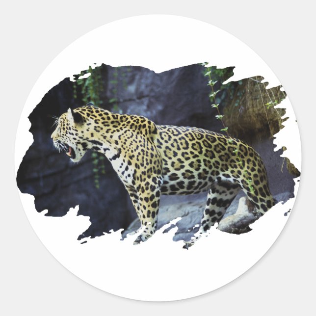 Jaguar Runder Aufkleber (Vorderseite)
