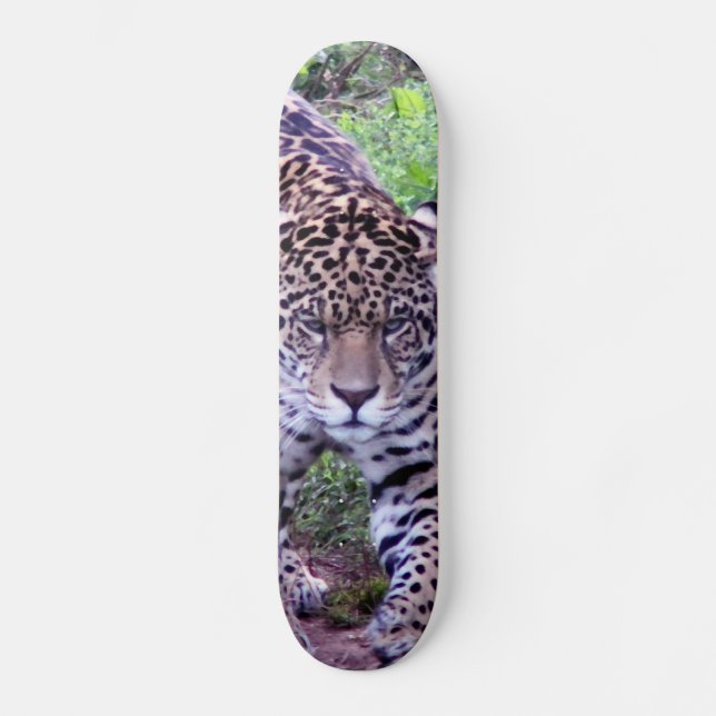JAGUAR SKATEBOARD (Vorderseite)