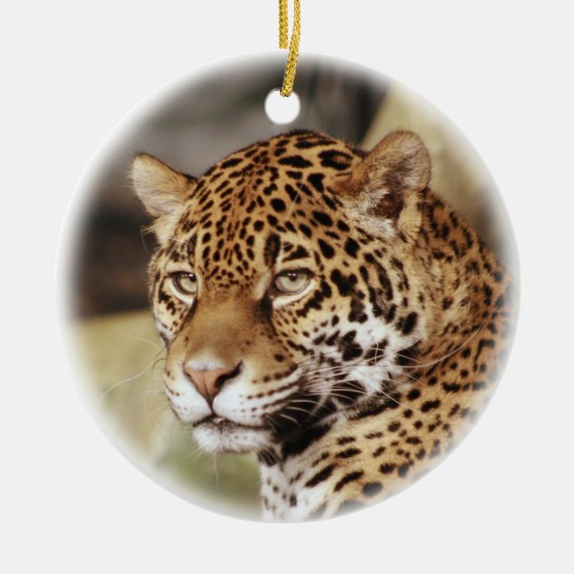 Jaguar-Verzierung Keramikornament (Vorne)