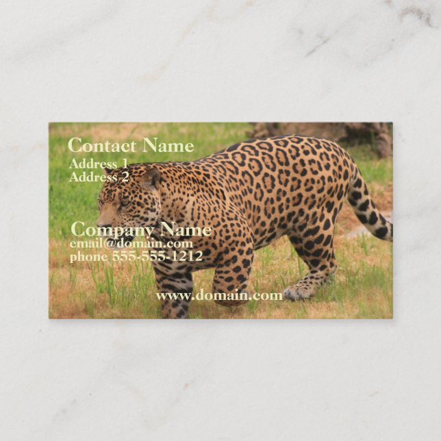 Jaguar-Visitenkarte Visitenkarte (Vorderseite)